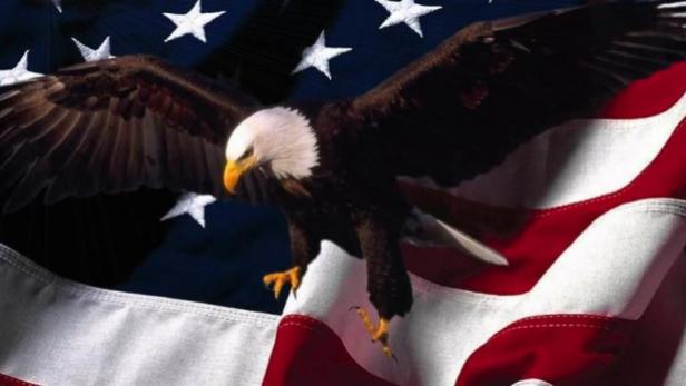 crop-patriotic-eagle-american-flag-background__large